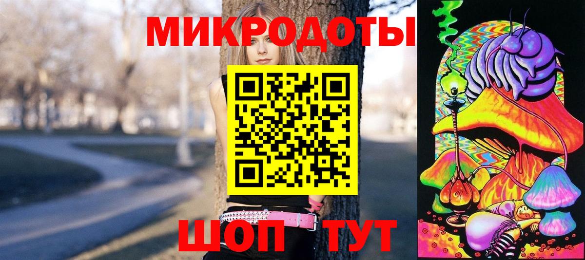 Галлюциногенные грибы Psilocybe Кашира