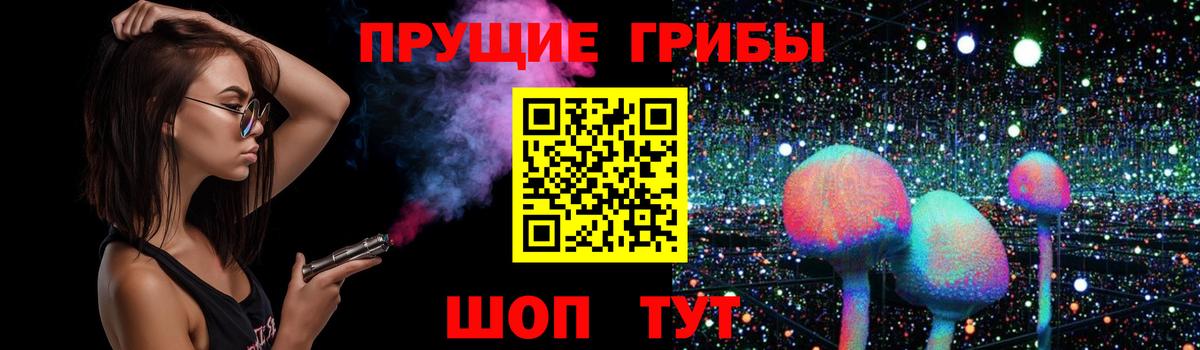 Кашира  Псилоцибиновые грибы MAGIC MUSHROOMS  Вход с VPN 